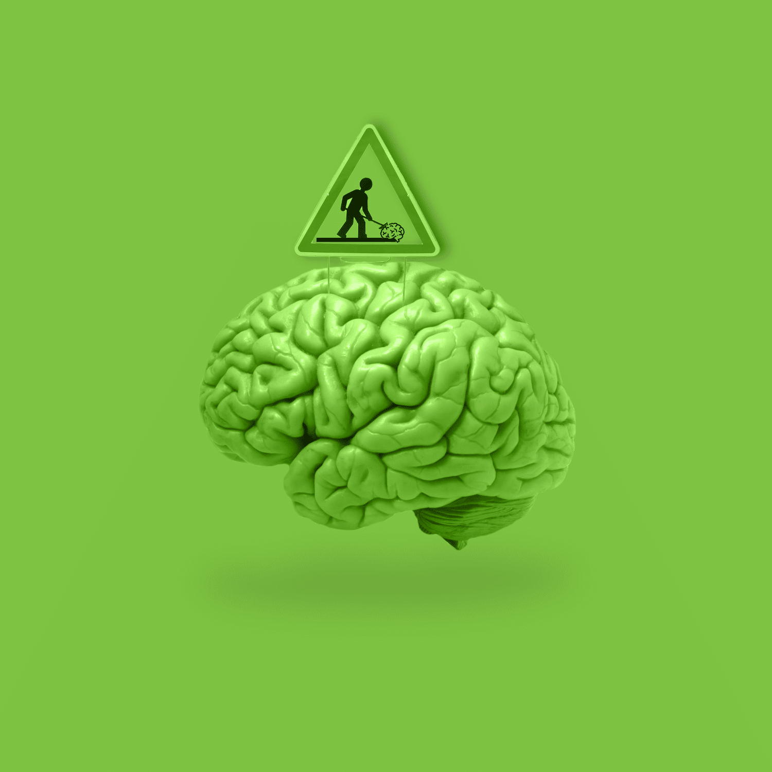 Caution: emotion- the brain
