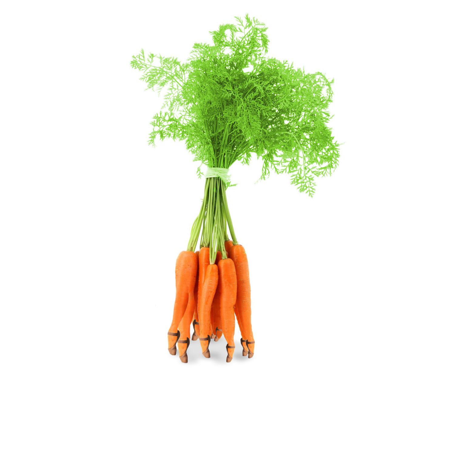 Les carottes sont cuisses