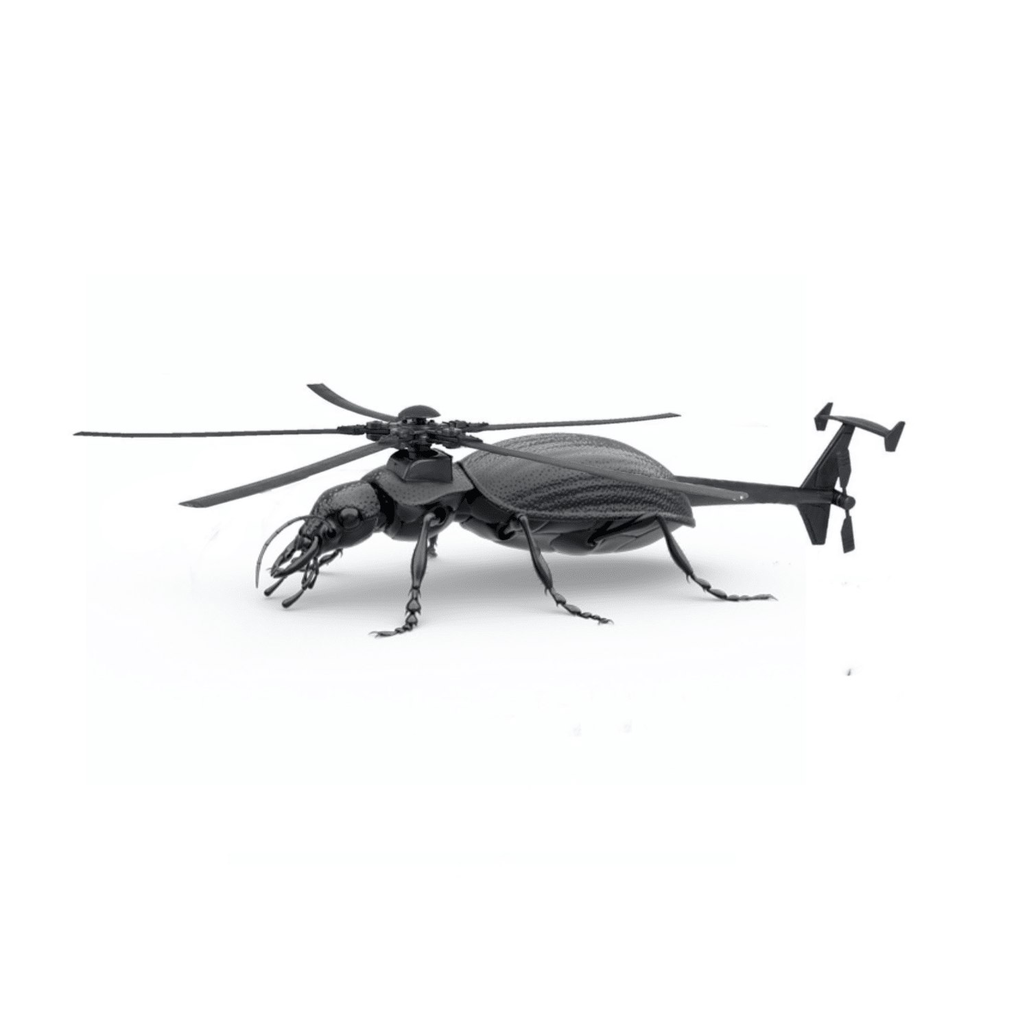 Helicoleoptere