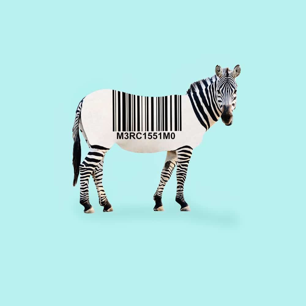 Zebra code