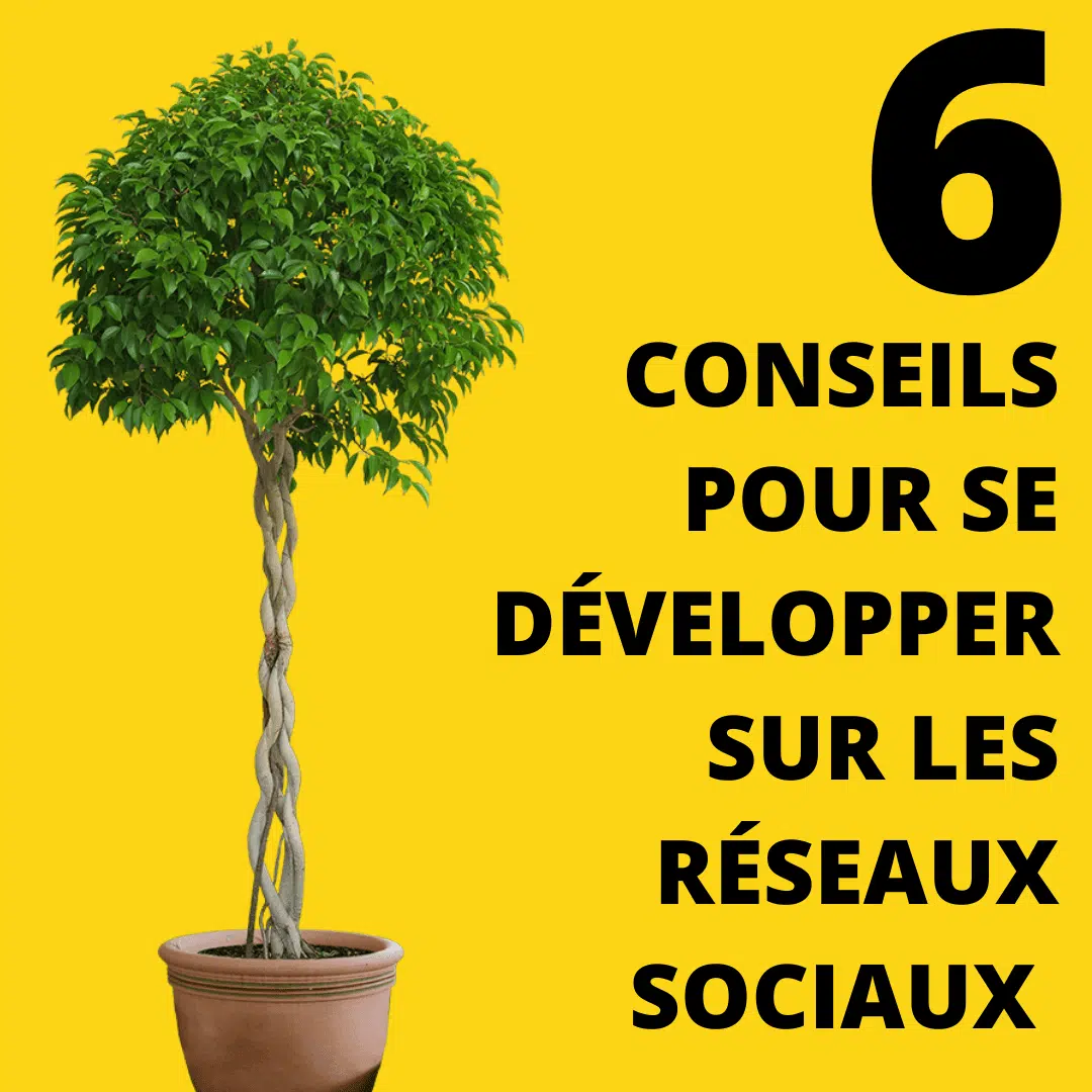 6 conseils pour se développer sur les réseaux sociaux