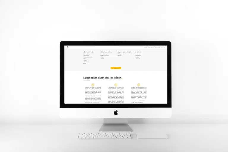 Boutique en ligne - site web
