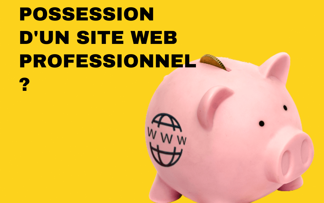 Quel est le coût total de possession d’un site web professionnel ?