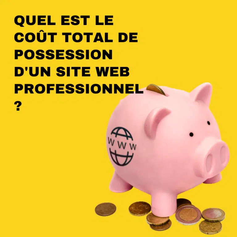 Quel est le coût total de possession d&rsquo;un site web professionnel ?