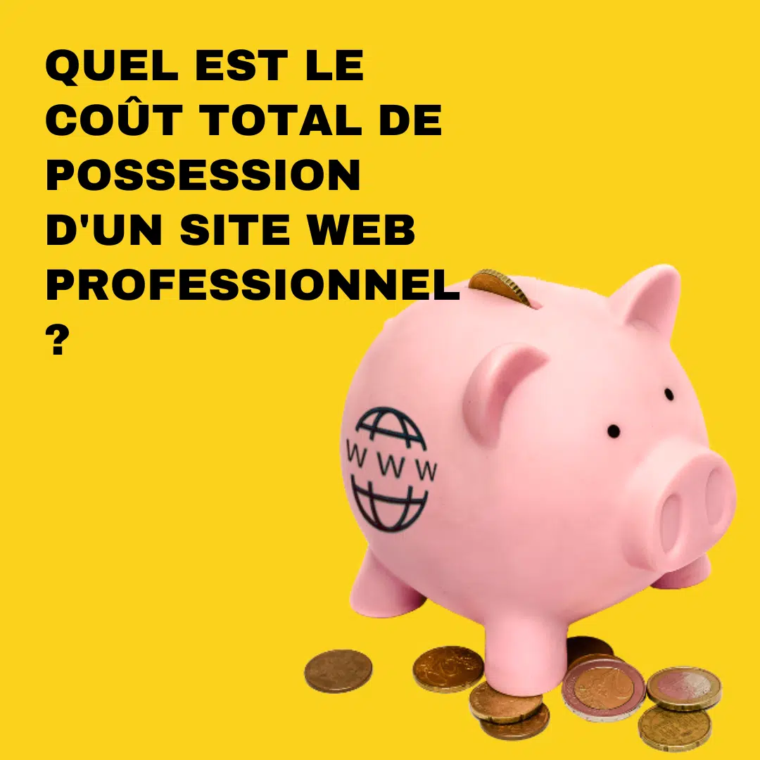 Quel est le coût total de possession d'un site web professionnel ?